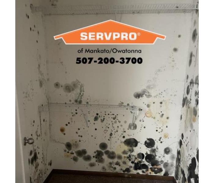 Severe mold growth 