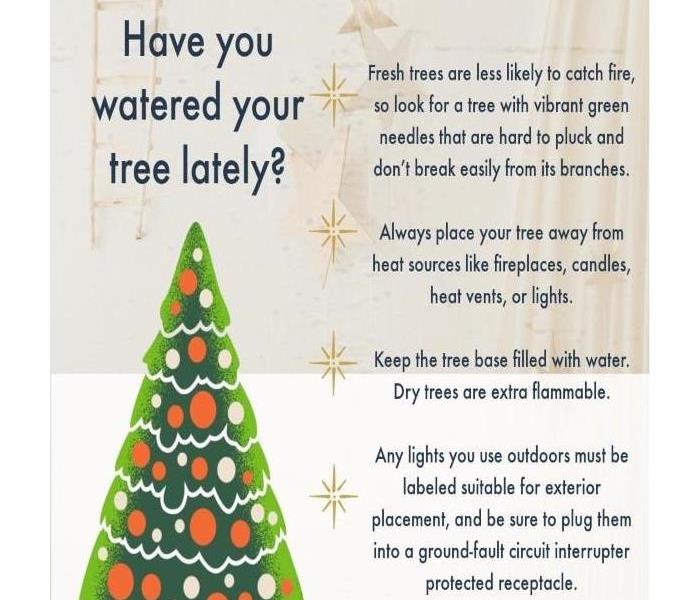 Christmas tree Safety tips and more
