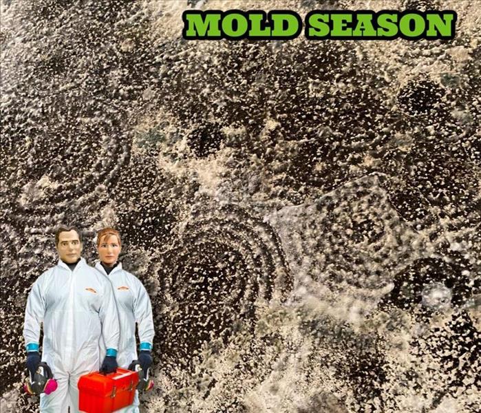 Mold season text with Stormy and Blaze in PPE